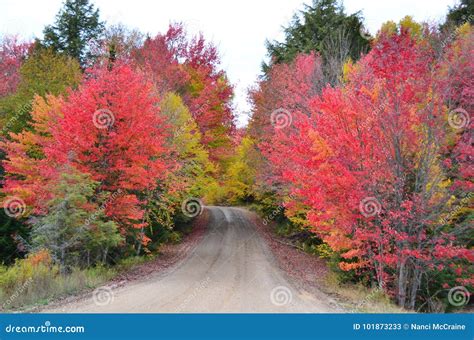 Fall Foliage Colors Border A Dirt Road In The Adirondacks Stock Image