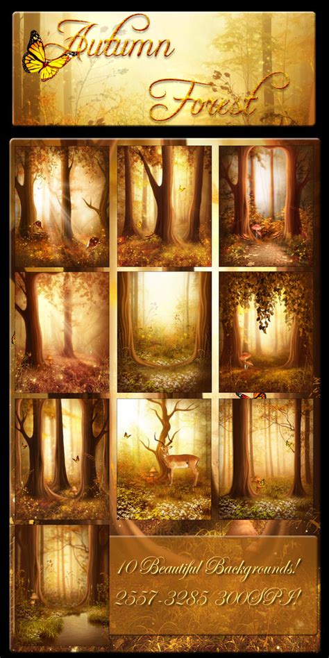 Autumn Forest Backgrounds By Moonchild Ljilja On Deviantart