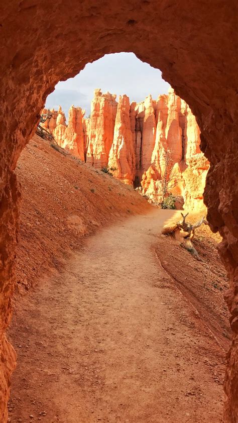 Bryce Canyon Best Hikes For A One Day Visit Newcityadventures In