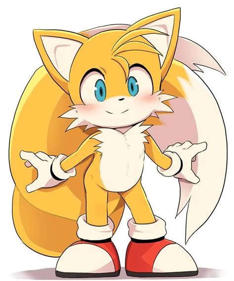 A Cute Tails Miles Tails Prower Personagens De Anime Desenhos Do