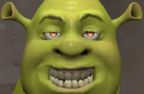 Smooth Shrek Meme Faces Shrek Shrek Memes