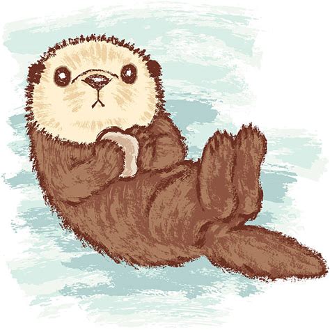 Top 60 Sea Otter Clip Art Vector Graphics And Illustrations Istock