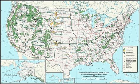 National Forests Of The United States Significance In Biodiversity