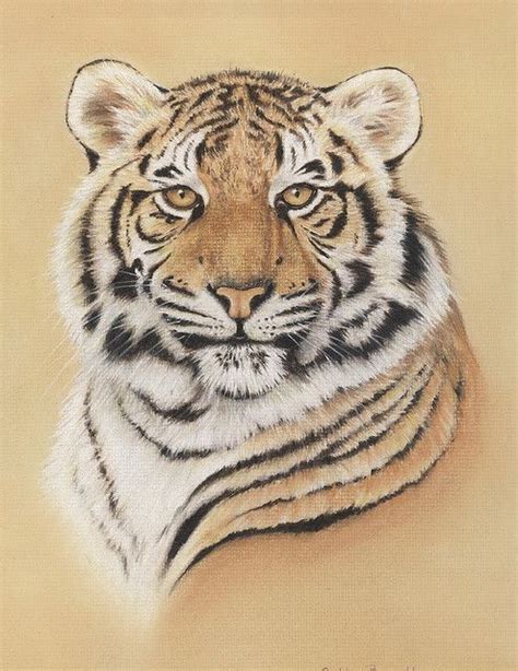 Majestic Tiger Pastel Pencils Animal Drawings Tiger Illustration