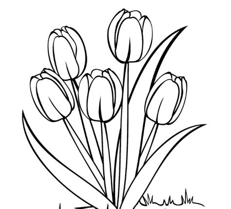 87 gambar flora fauna simple paling bagus gambar pixabay. Corak Bunga Simple | Desainrumahid.com