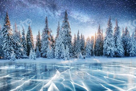 15 Tips And Ideas To Capture The Allure Of Winter Scene