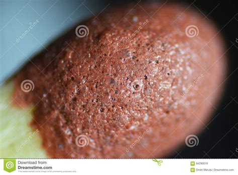 Match Head Stock Image Image Of Match Close Magnification 84290019