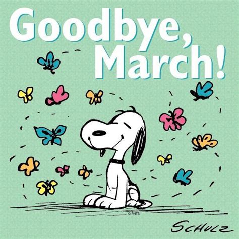 Goodbye Snoopy Love Snoopy Snoopy Quotes