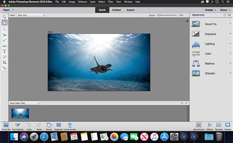 Adobe Photoshop Elements 20201 Download Macos