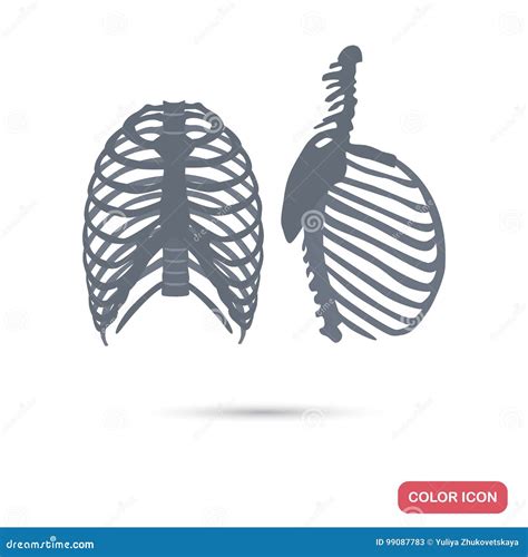 Human Chest Skeleton Profile And Facet View Color Flat Icons For Web