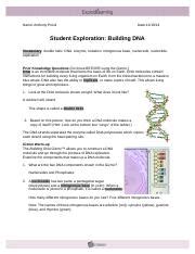 Building dna gizmo answers key related files Building Dna Gizmo Answer Key - This is often linked to ...