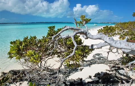 Find Andros Island Bahamas Hotels Downtown Hotels In
