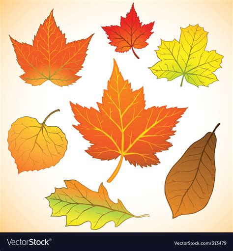 Fall Leaves Royalty Free Vector Image Vectorstock