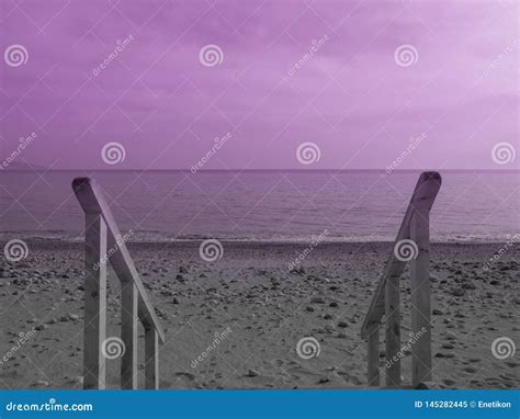 Ladder On The Rocky Sandy Beach Stock Image Image Of Sandy Rocky