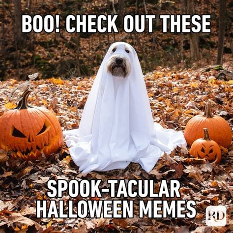 20 Best Halloween Memes 2022 Readers Digest