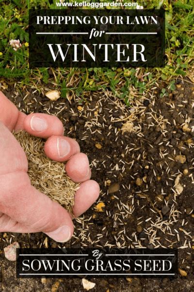 5 Steps For Preparing Your Lawn For Winter