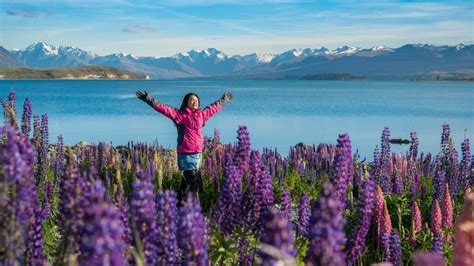 Average spring temperatures range from 16 to 19 degrees celsius, but there are also plenty of warmer (and colder) days. Five of the best New Zealand spring breaks | Stuff.co.nz