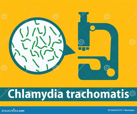 Chlamydia Trachomatis Ilustração Stock Ilustração De Liso 264441419