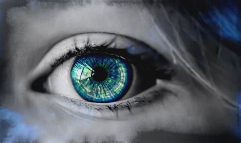Fotos Gratis Creativo Color Azul De Cerca Cuerpo Humano Iris