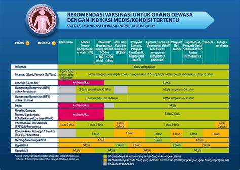Melalui program ini, tubuh diperkenalkan dengan bakteri atau virus tertentu. Jadwal imunisasi - Wikipedia bahasa Indonesia ...