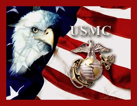 See actions taken by the people who manage and post content. Happy United States Marine Corps birthday November 10 ...