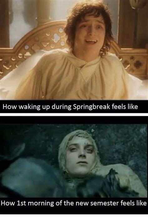 College As Told By The Lord Of The Rings Memes