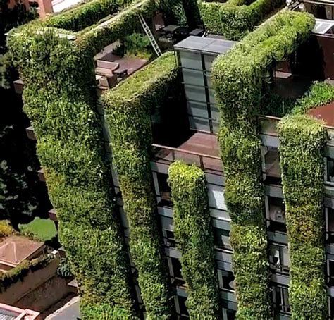 Biophilic Design Feature Green Roofs Australasia