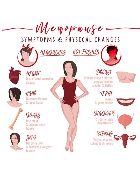 The Stages Of Menopause Vitalize Magazine