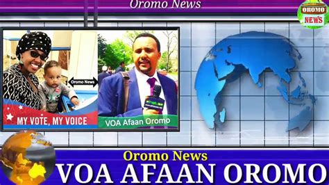 Voa Afaan Oromo Nov9 2017 Youtube
