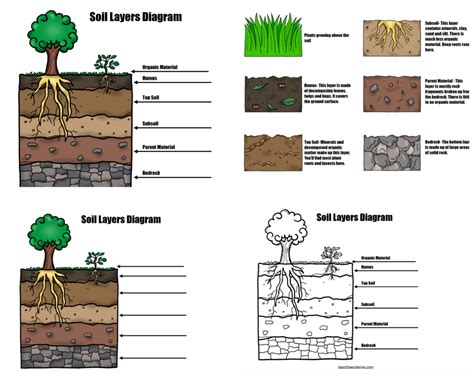 Soil Layers Worksheet For Kids