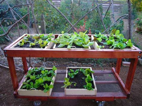 16 Diy Salad Table Ideas To Get Fresh Salad With Little Garden Space