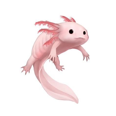 Explore The Best Axolotl Art Deviantart In 2023 Animal Drawings