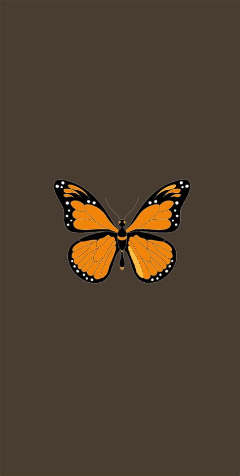 Mariposa Butterfly Hd Phone Wallpaper Peakpx