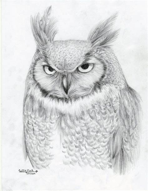 All selected drawing tutorials have easy to follow steps and now everyone can draw great looking cats, dogs, mice, horses. Great Horned Owl by CallieFink on DeviantArt | Drawings | Pinterest | Owl, deviantART and Owl art