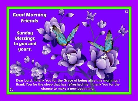 Good Morning Friends Sunday Blessings Pictures Photos