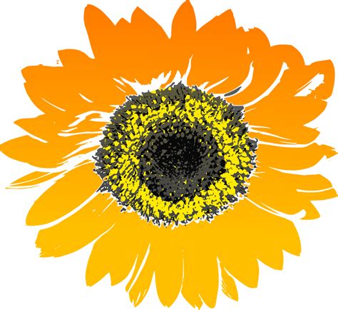Onlinelabels Clip Art Sunflower