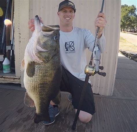 Big Fish Alert 16 Pound Largemouth Bass Caught In California