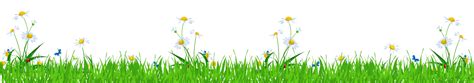 Grass With Daisies And Ladybugs Png Clipart Picture Gallery