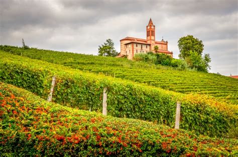 • il piemonte ti vaccina. Wines from Piemonte - The London Wine Blog