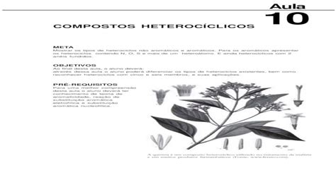 Compostos HeterocÍclicos€¦ · Química Dos Compostos Orgânicos Ii Os