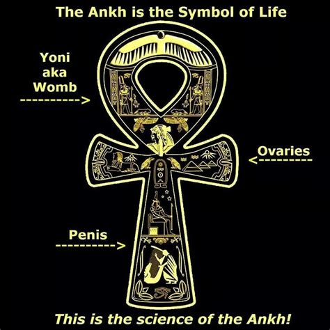 Pin By Ebony Creative Spirit 3363 On Ankh Of Life Symbols Life