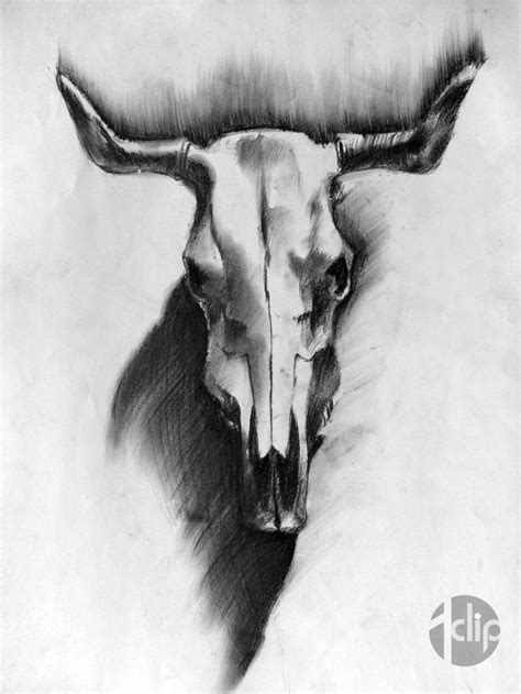Animal Skull Charcoal Study Skull Painting Art Charcoal Animal Skulls