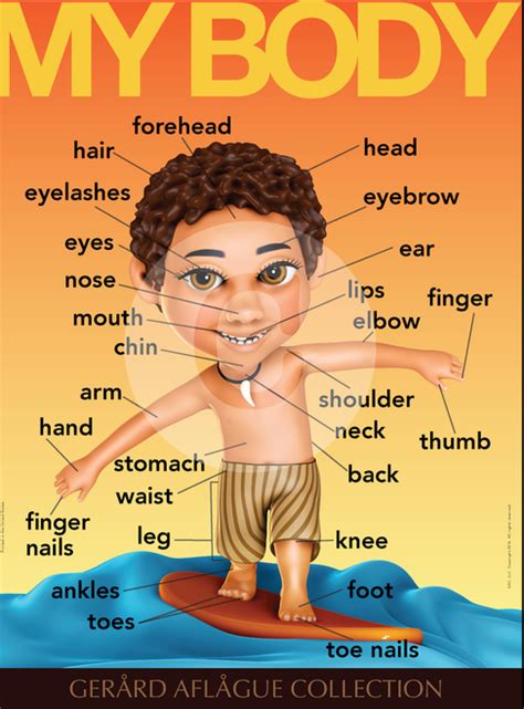 English Teach Me My Body Parts Male Teacher Classroom Poster