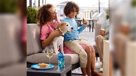 Dog Lovers Rejoice Staybridge Suites Launches New Limited Time Pet