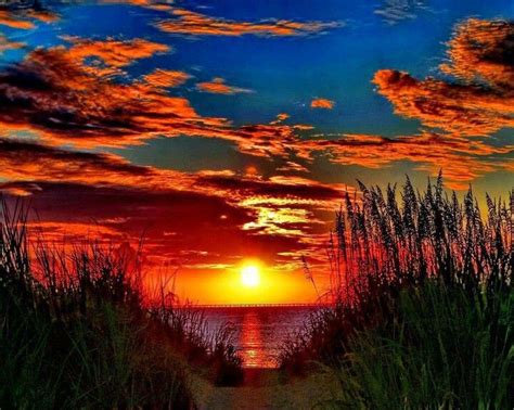 a brilliant sunrise amazing sunsets amazing nature beautiful beach nature pictures cool