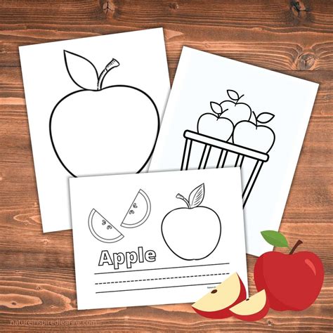 The Best Apple Coloring Pages For Fall Nature Inspired Learning
