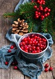 Cranberries containing cranberry, christmas, and cranberries | High ...