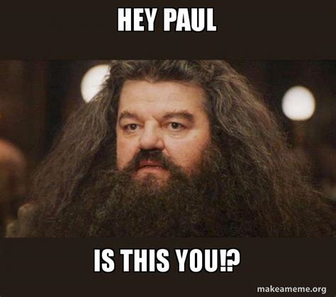 Hey Paul Is This You Hagrid I Should Not Have Said That Make A Meme