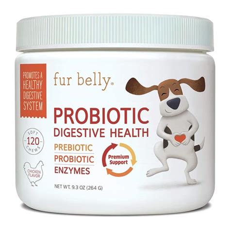 The Best Probiotics For Dogs With Diarrhea — Natural