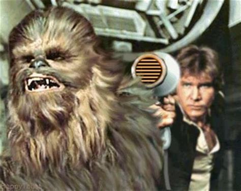 Funny Chewbacca Quotes Quotesgram